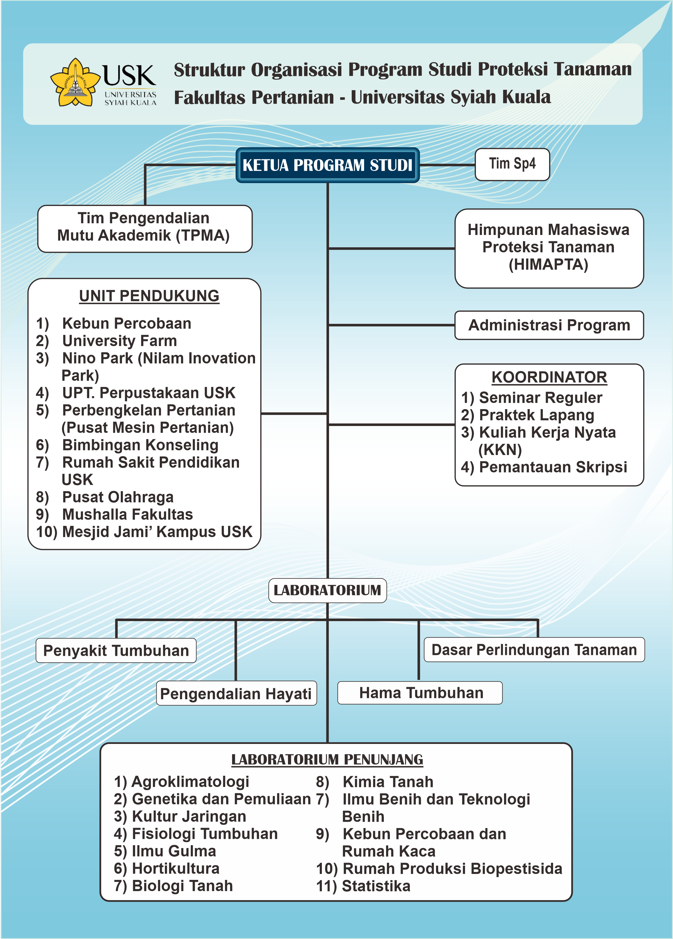 Struktur Organisasi PTN Edit