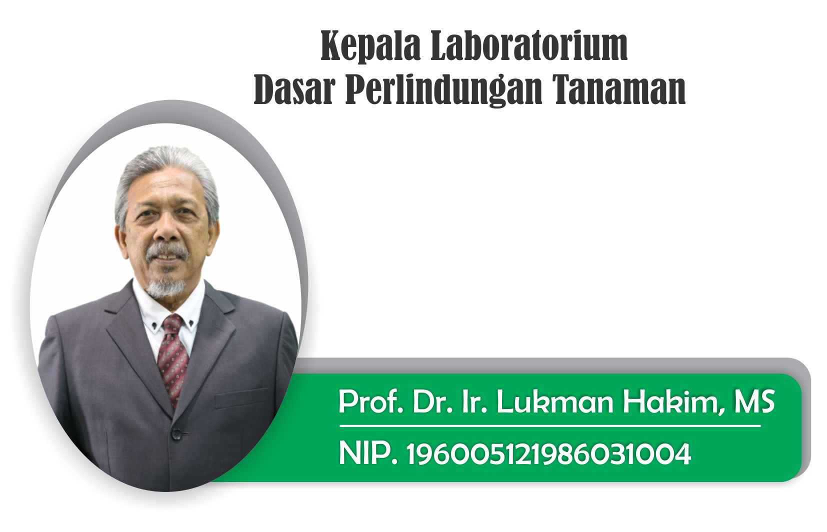 LAB DPT