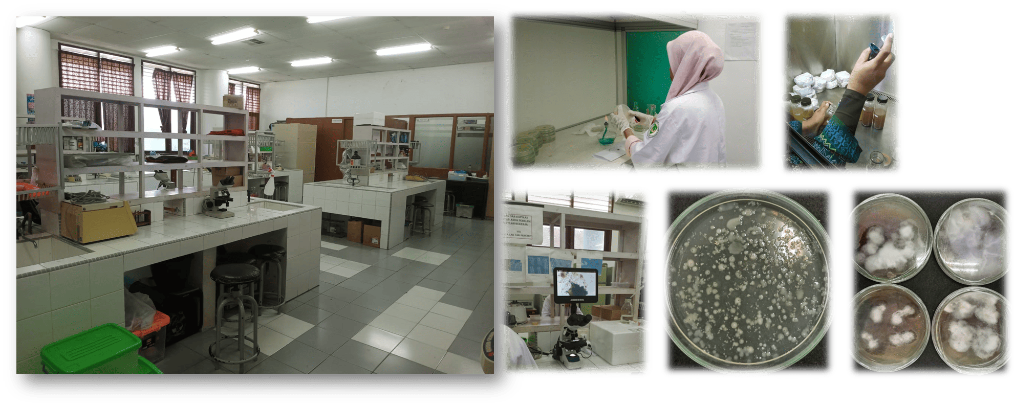 SUASANA